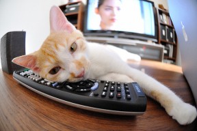 中国女篮注重心理素质提升，中国女篮团队精神的感悟