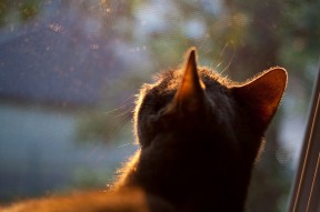 幕后团队成就精彩赛事，幕后制作团队