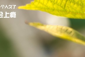 换人策略灵活，关键时刻屡建奇功，新的换人规则