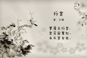 中国篮球职业联赛经济效益分析，中国篮球职业联赛的看法