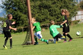 体育新闻中心推动体育传播领域AIGC成果转化，体育传播活动中新媒体使用情况调查报告