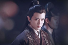 德甲速度与力量：激烈碰撞，精彩纷呈！，德甲跑动距离排名