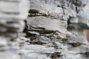 青少年体育蓬勃发展全民健身热情高涨，青少年 体育