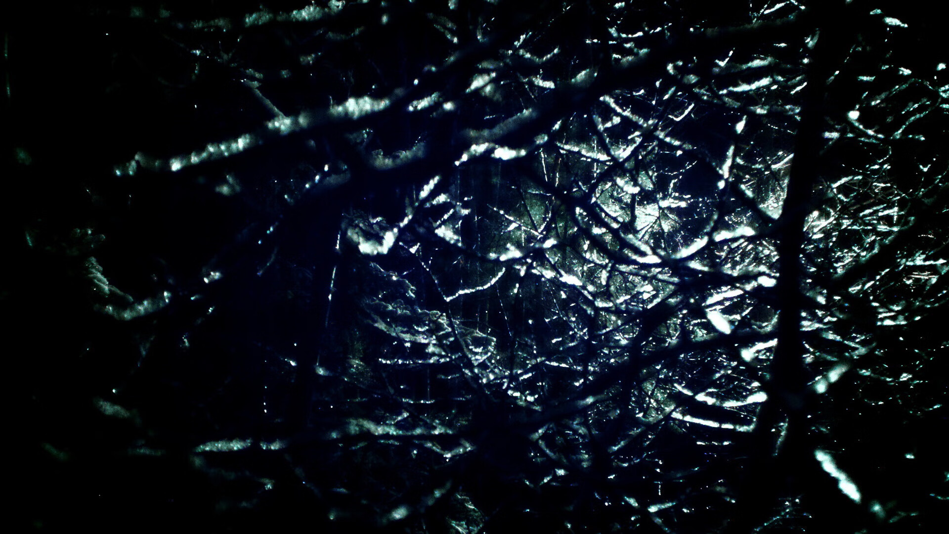 佛罗伦萨强化高空争顶形成压制态势,佛罗伦萨最高点