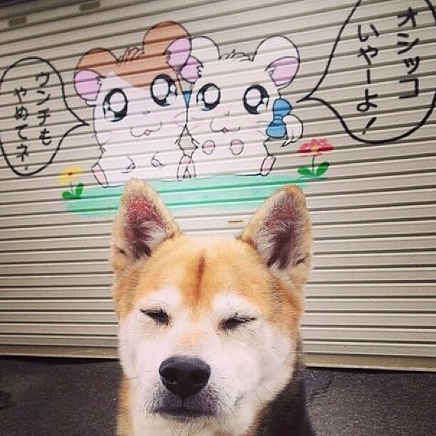 奥预赛中国女足战胜 球迷支持球队发展,中国女足球奥运会预选赛赛程时间表