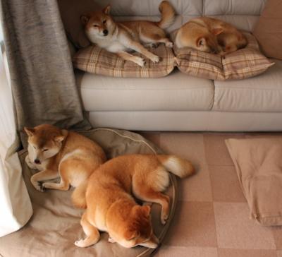 尤文图斯5‑0大胜阿尔艾因开启世俱杯征程