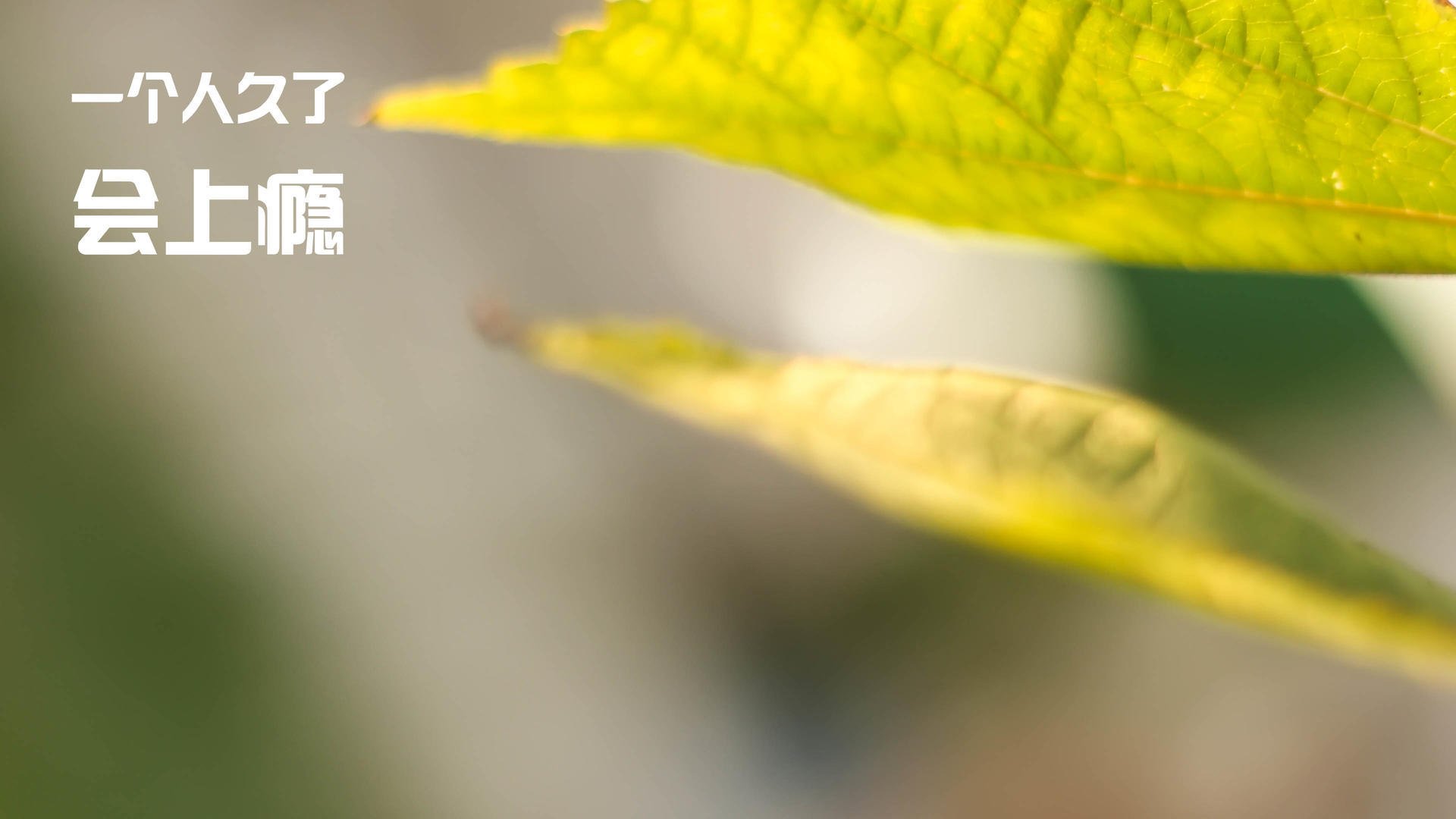 换人策略灵活,关键时刻屡建奇功,新的换人规则