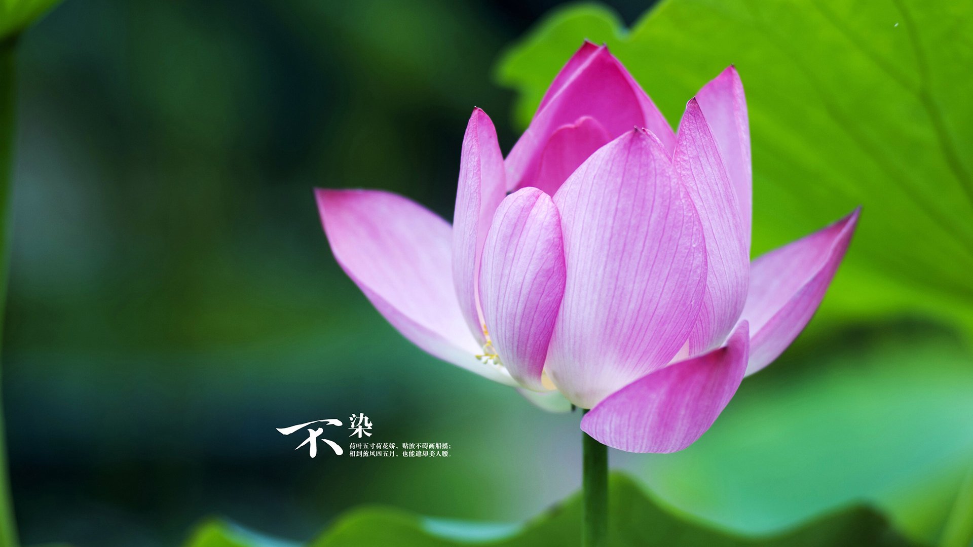 电竞入亚背后 体育的边界在拓展,电竞进入亚运会百家号