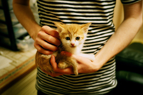 中国足球注重守门员专项训练提升门线防守能力,足球守门员新规则