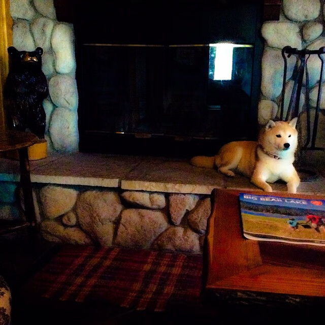 乌拉圭男篮在南美锦标赛中不断突破，体育影响力持续扩大，乌拉圭男篮国家队阵容