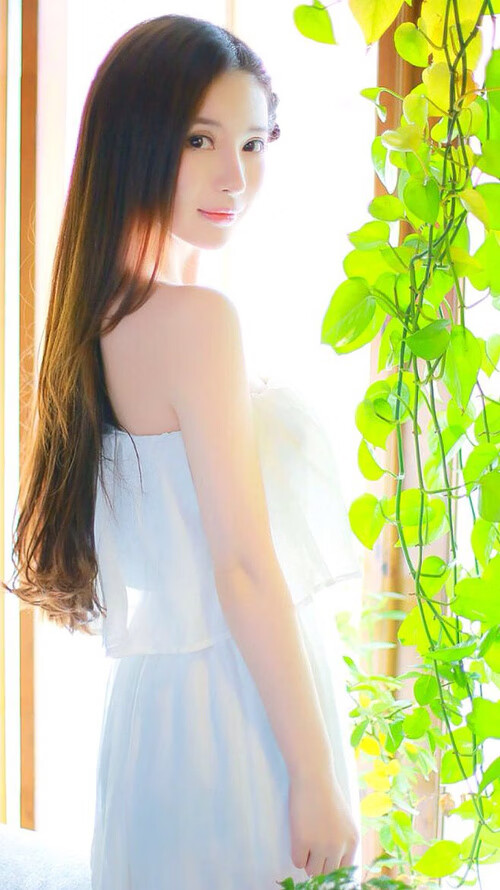 伯科夫50米仰泳爆发力惊艳全场