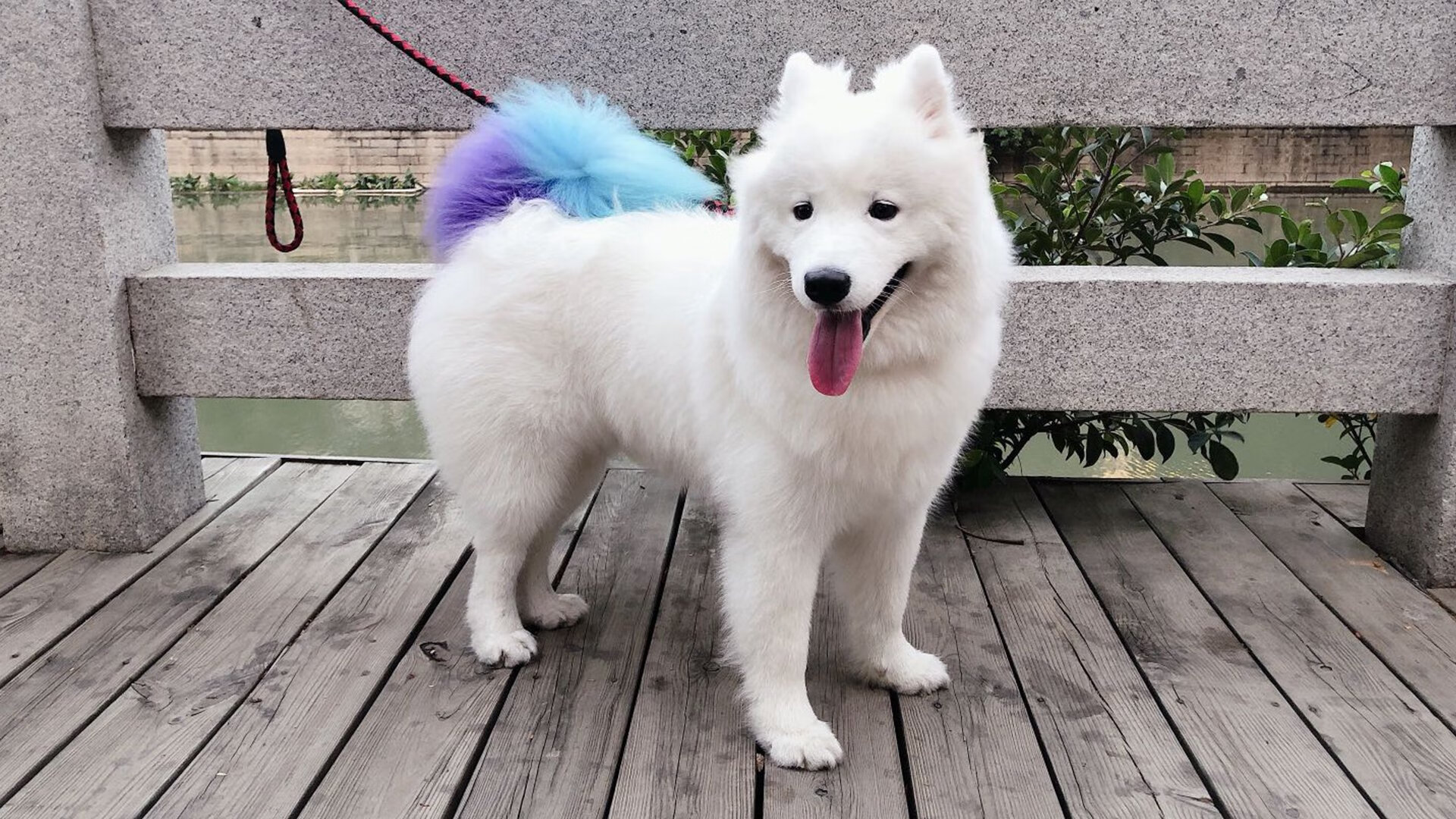 职业联赛推动球员形象授权鼓励多维商业开发